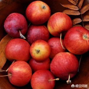 减肥吃什么瘦得快<strong>减肥食物</strong>？
