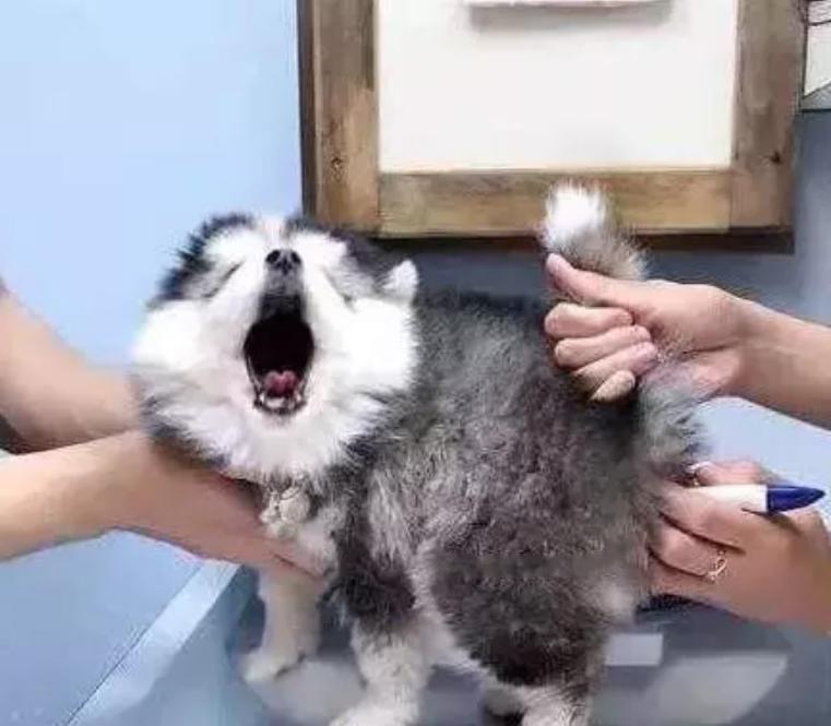屁眼痒是什么原因屁眼疼