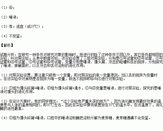 唾液的作用是什么四年级科学,唾液的作用