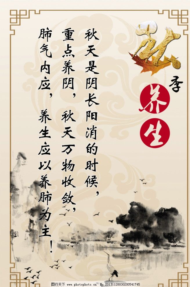 中医养生知识中医养生知识宣传总结
