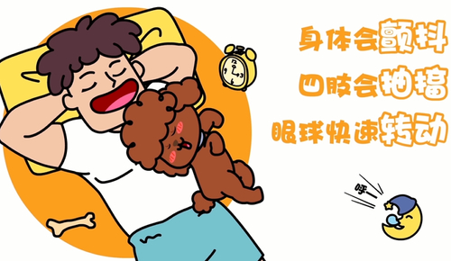 睡觉时候身体突然抽搐睡觉时身体频繁不由自主抽搐