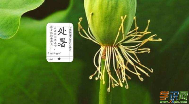 处暑节气吃什么养生,处暑节气必吃的8种食物