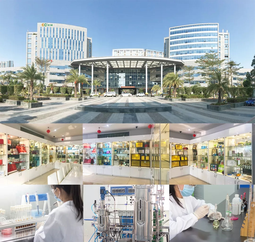 广州保健公司招聘信息,广州保健公司