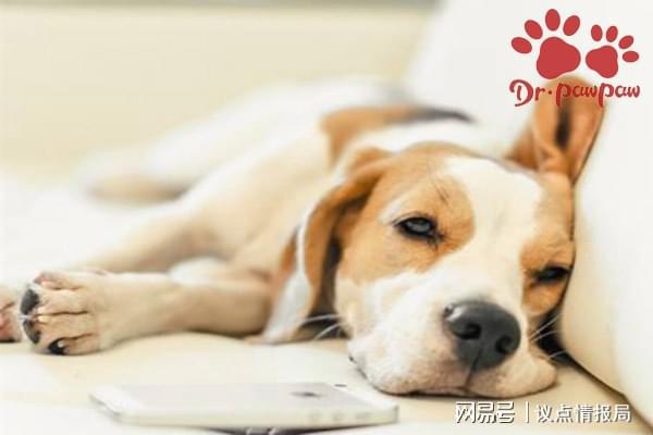 想睡觉的时候身体会抽搐是为什么,想睡觉的时候身体会抽搐是为什么原因