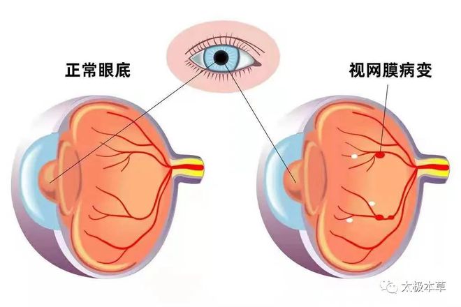 关于倪海厦400集免费视频教程百度云的信息