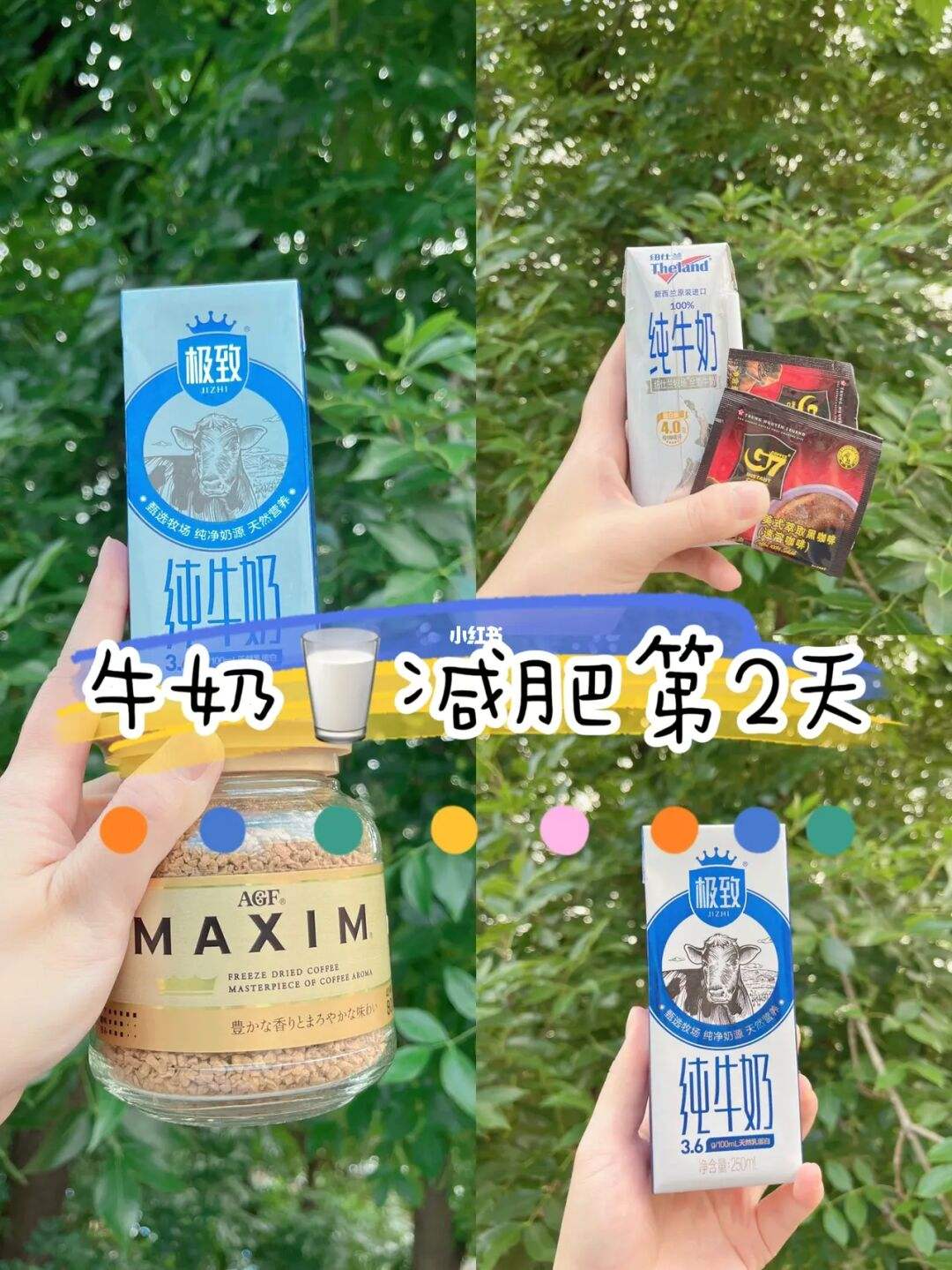 牛奶能减肥,晚上喝纯牛奶能减肥吗