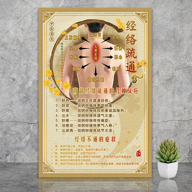 人体的经络图解大全经络养生图