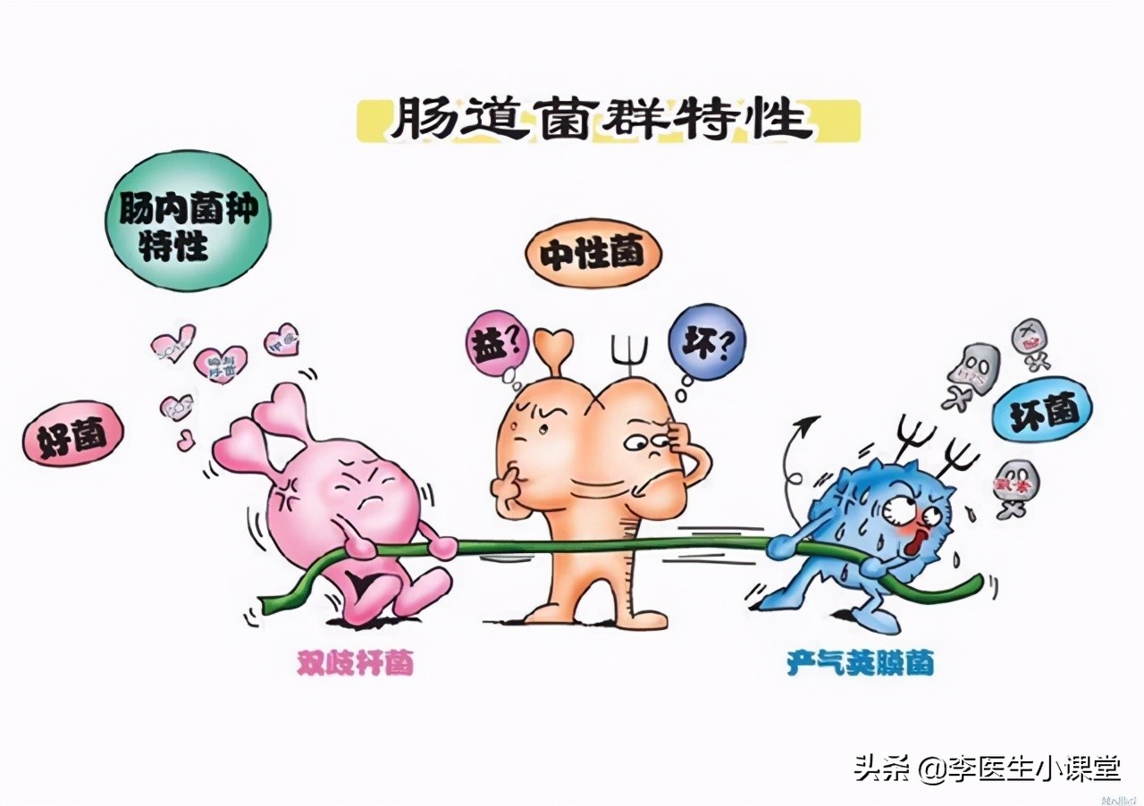 胃肠神经官能症胃肠神经官能症挂什么科