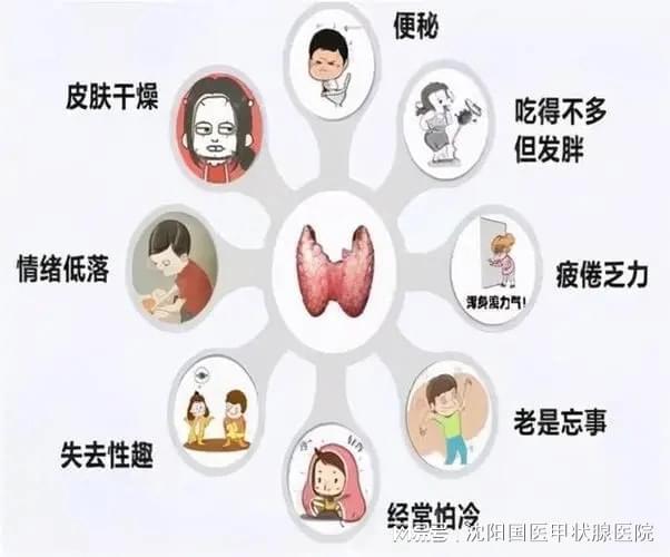 甲状腺的主要症状有哪些,甲状腺的主要症状