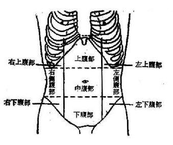 右下腹痛右下腹痛想拉大便拉不出