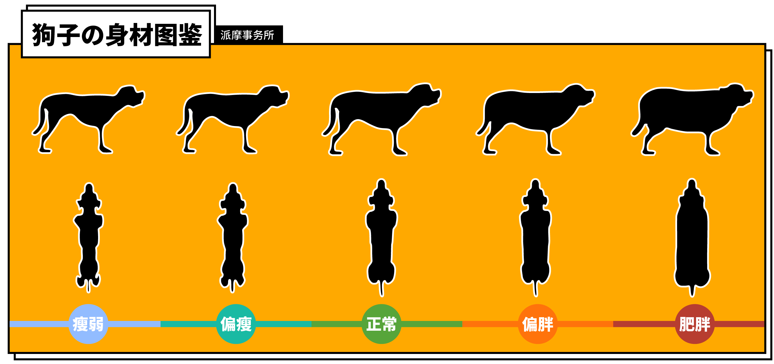 车厘子减肥子减肥