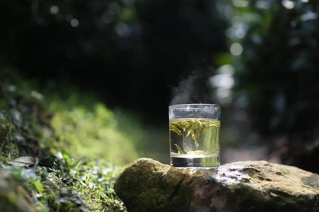 雨前茶歌词安静雨前茶