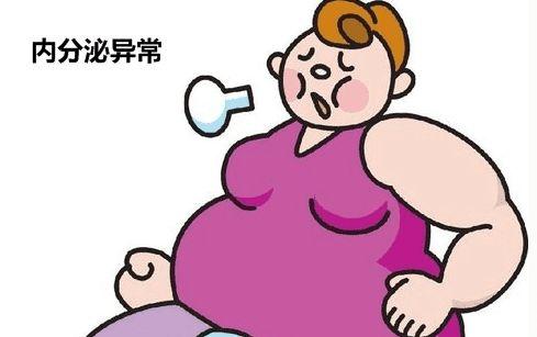 内分泌失调有什么症状月经不调内分泌失调有什么症状