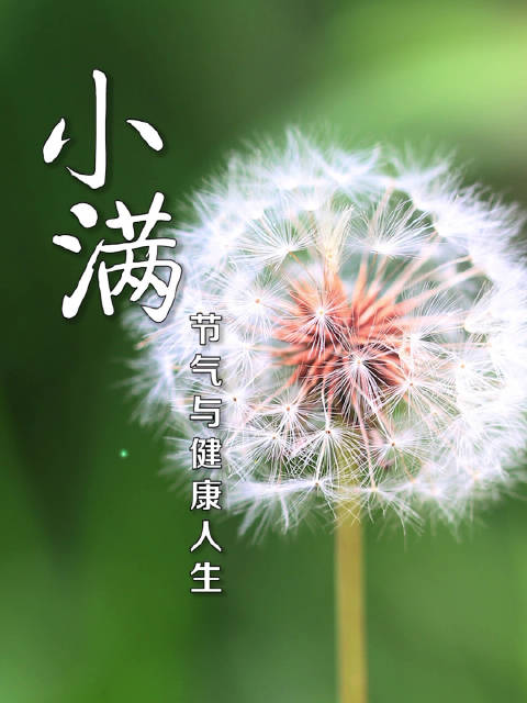 小满养生小满养生小知识