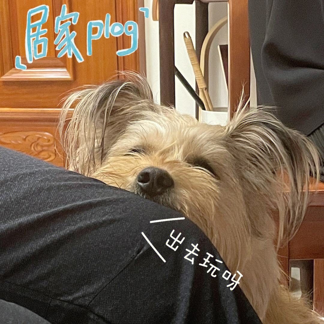 咱的拼音咱