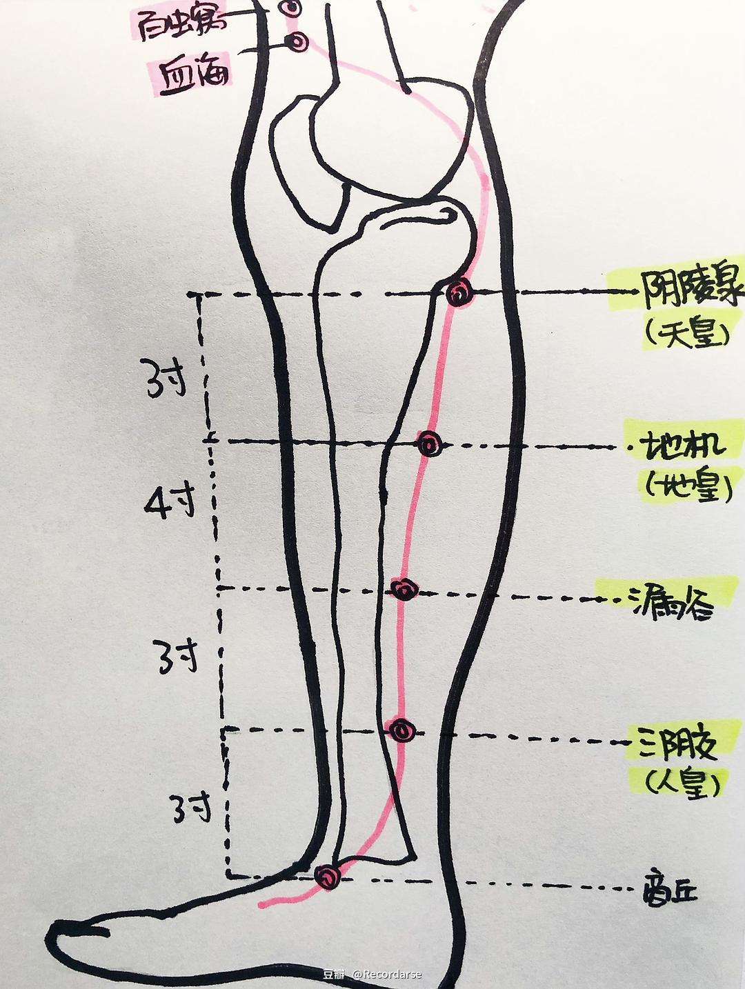 倪海厦艾灸学视频教程全集,倪海厦长期艾灸