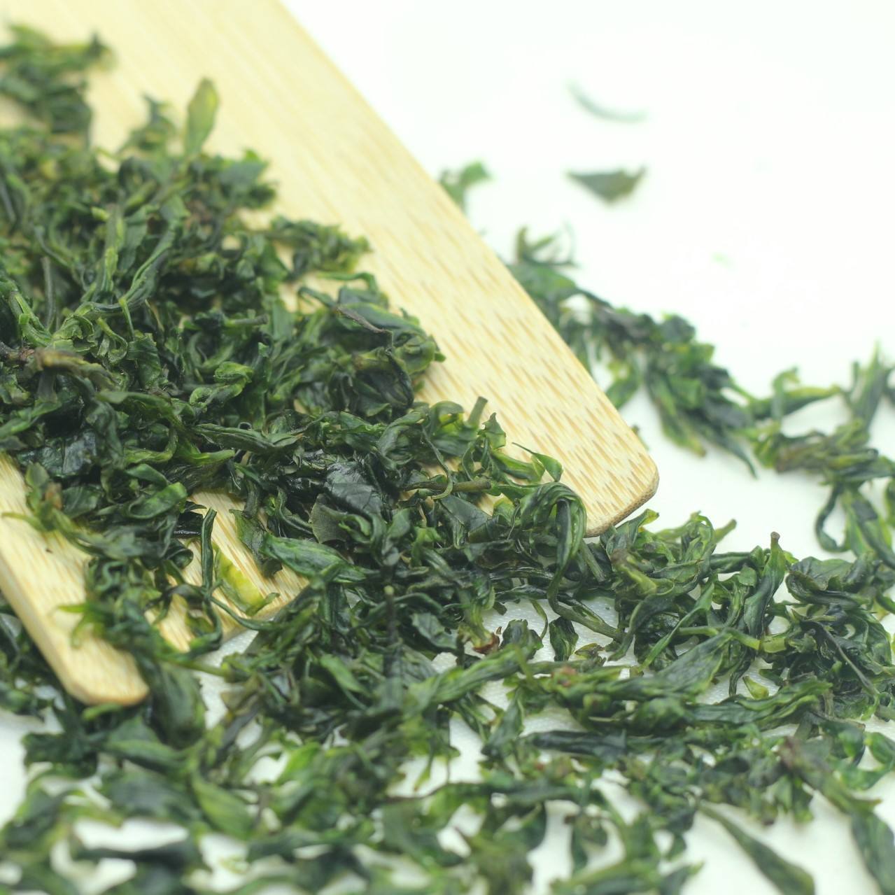 毛冬青茶,毛冬青茶叶60元一两
