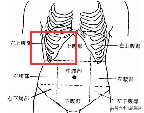 肚脐下方痛怎么办肚脐下方疼痛怎么回事