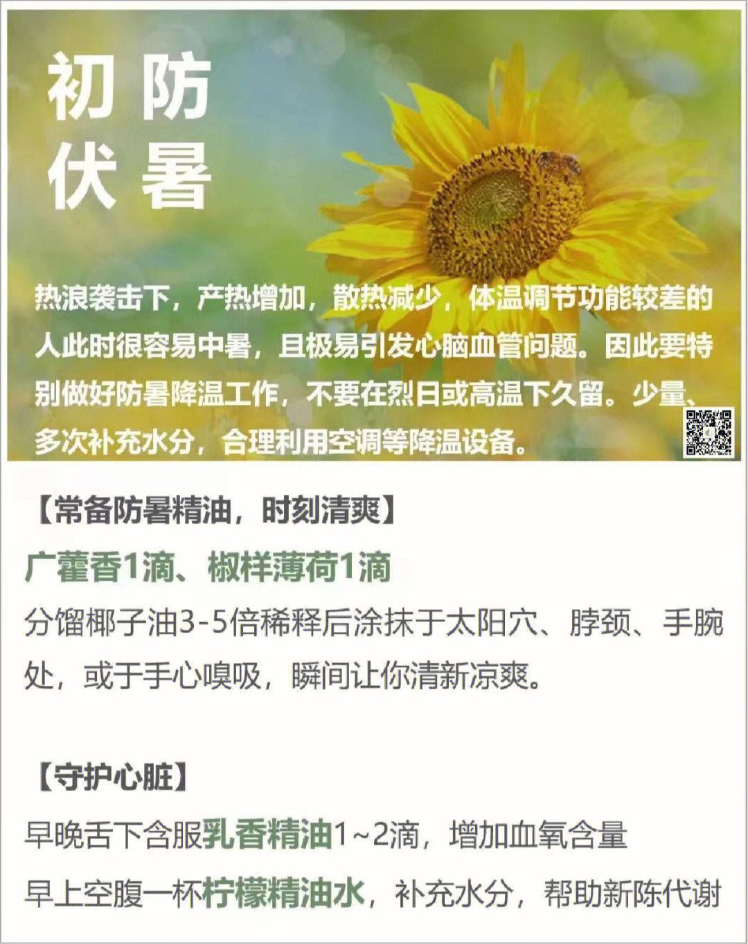 三伏天怎么养生三伏天怎么养生补阳