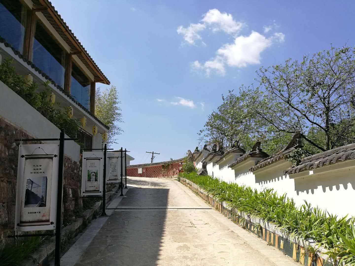 大道堂养生,大道堂养生师培训教材