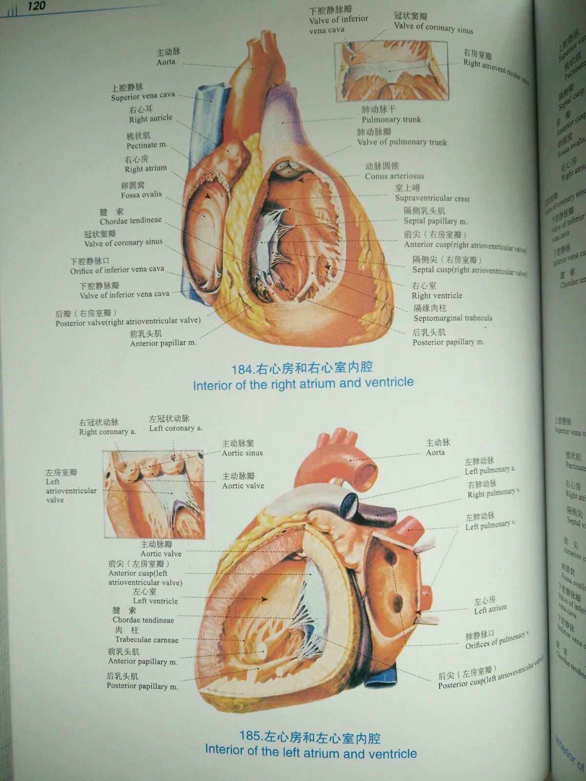 心脏心脏不好早期10个征兆