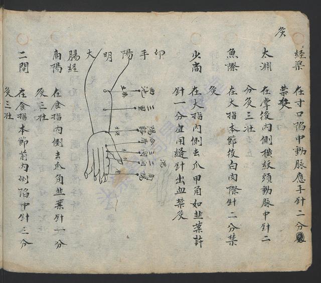 鬼门十三针图片大全,鬼门十三针准确位置图片大全