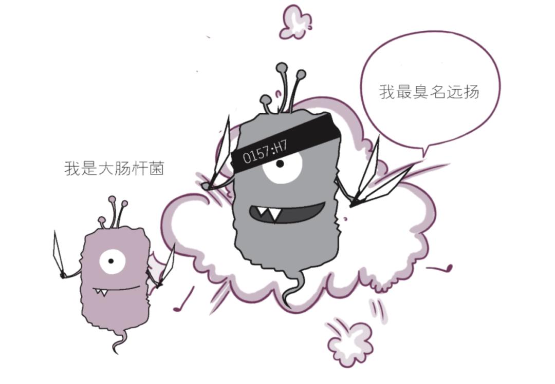 大肠杆菌,大肠杆菌是真菌还是细菌