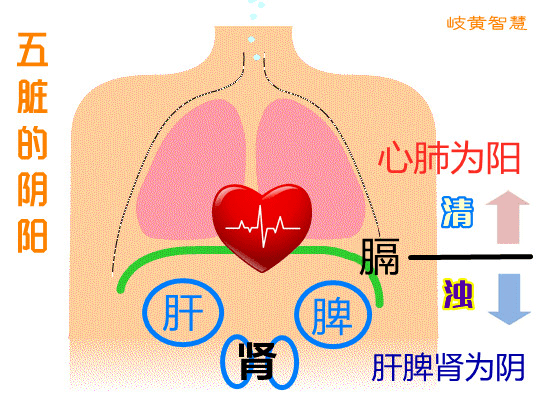 倪海厦400集免费视频教程,倪海厦400集免费视频教程糖尿病