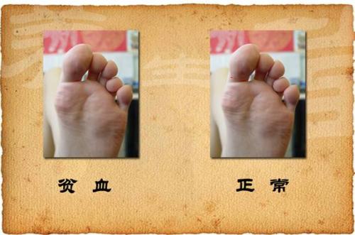 养生堂知足常乐4养生堂知足常乐