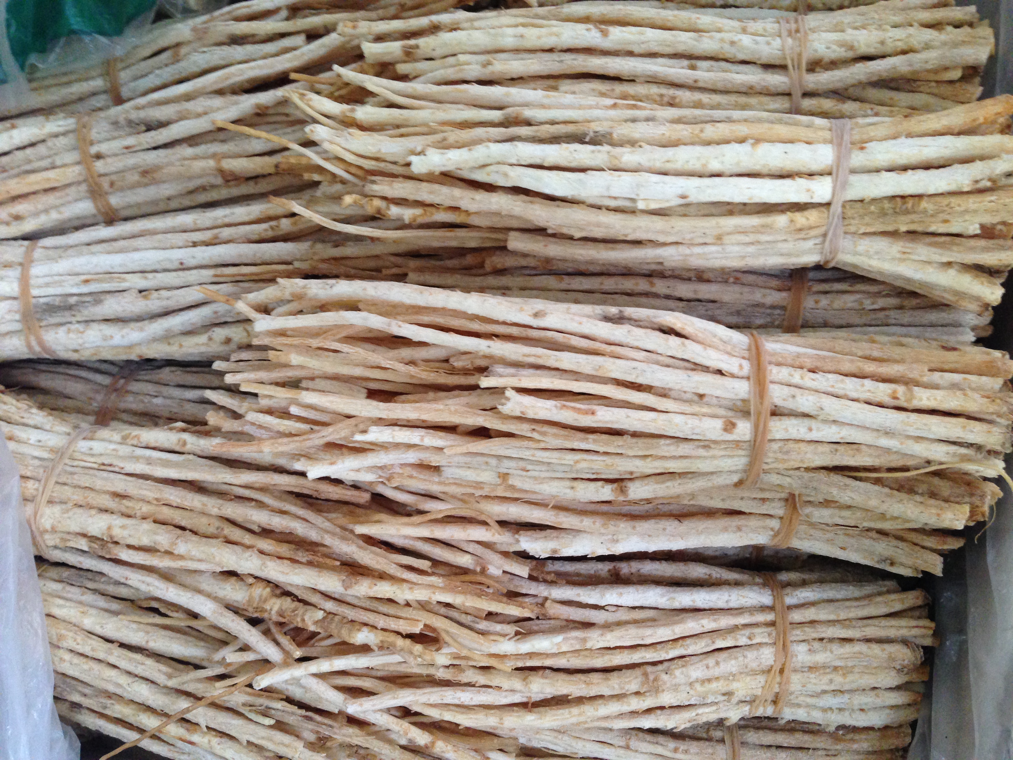 沙参,沙参功效作用与主治