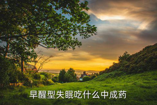 失眠怎么办如何快速睡吃什么药的简单介绍