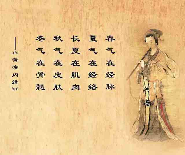 黄帝内经十二经络养生法pdf,黄帝内经十二经络养生法