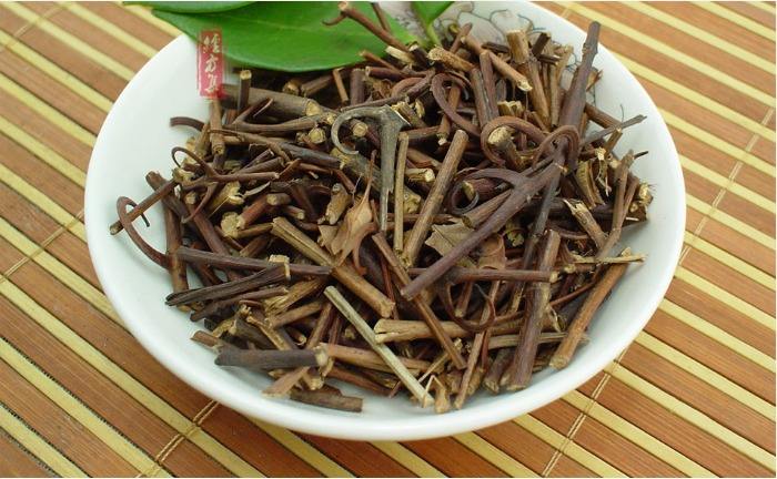 钩藤,钩藤草图片