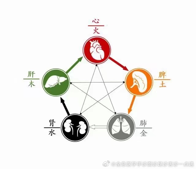 养生一点通吴大真,养生一点通