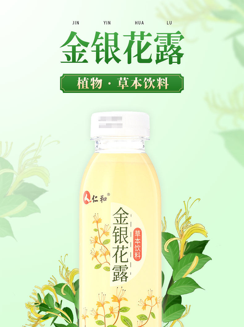 金银花露写了什么车金银花露都写过啥