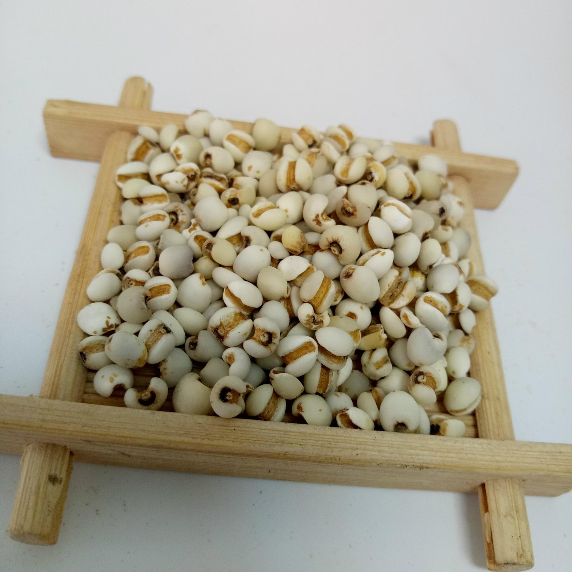 生薏苡仁的功效作用与主治生薏苡仁