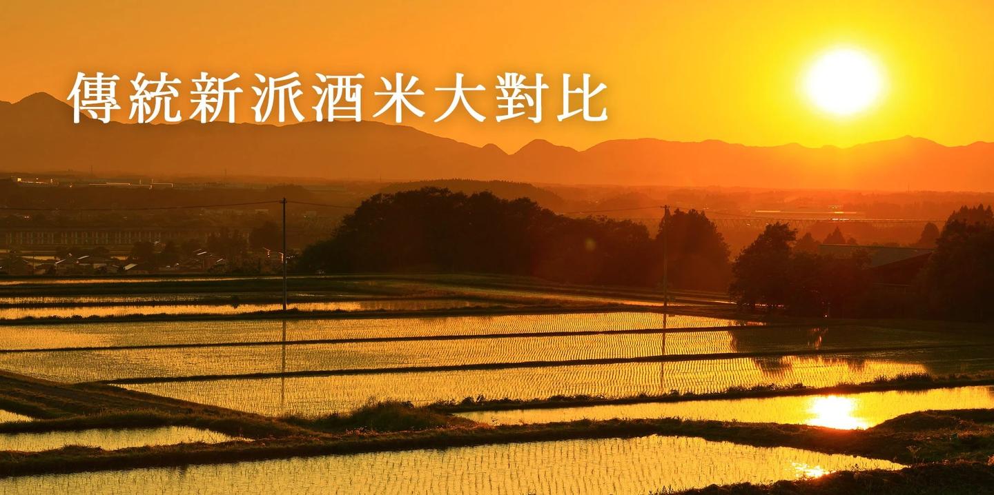 中韩酒文化对比中韩两国酒文化比较研究