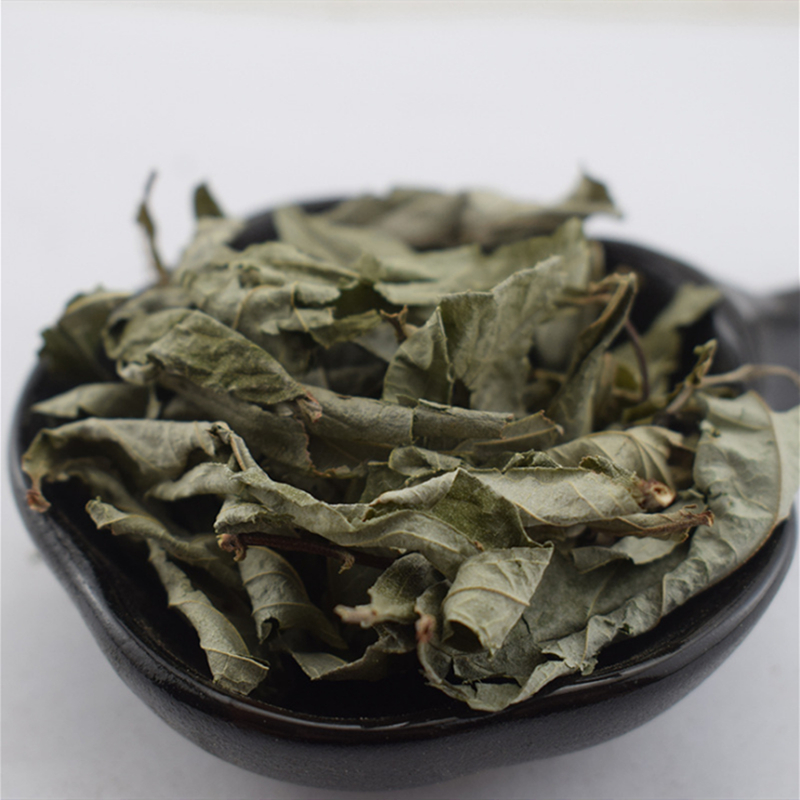 蜀漆的别名,蜀漆