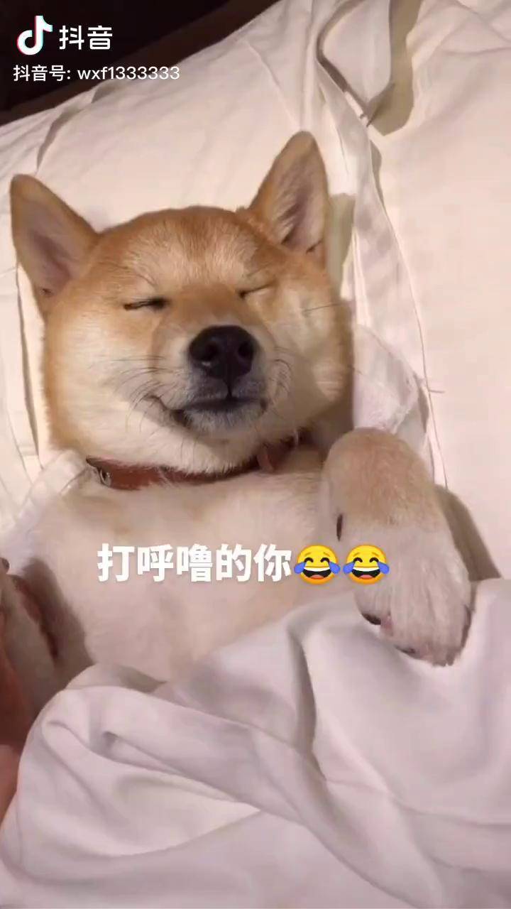 睁眼睡觉图片搞笑睡觉图片搞笑