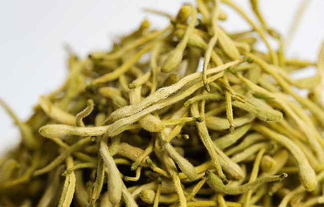 金银花泡水喝的正确方法和用量,金银花泡水喝的正确方法
