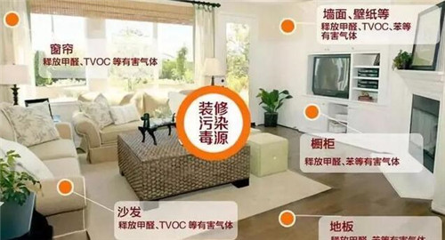 甲醛去除的正确方法白醋甲醛去除的正确方法?