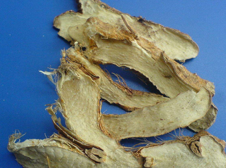 中药知母有什么功效和作用中药知母