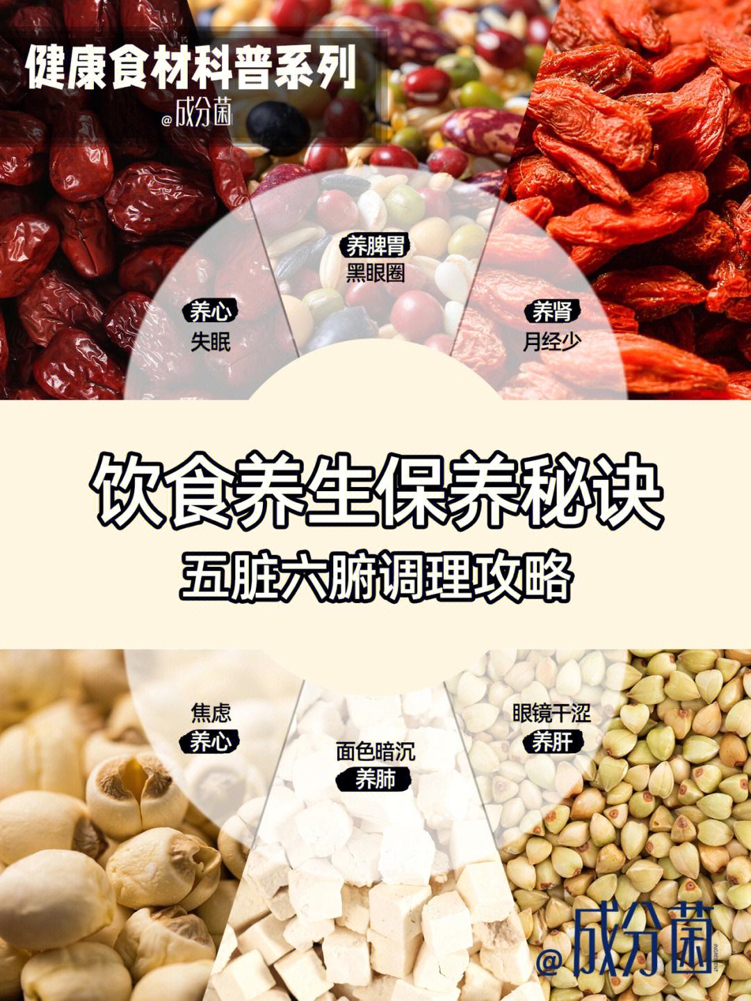 饮食养生名词解释饮食养生