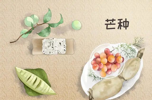 芒种养生必吃三食物芒种养生