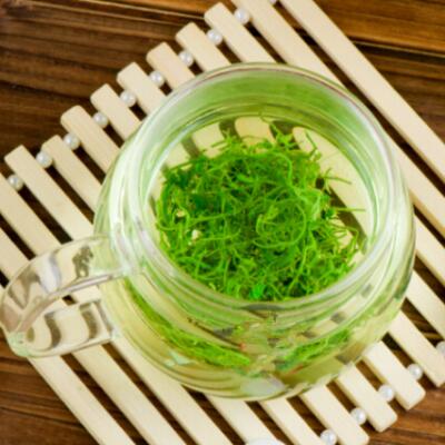 绞股蓝茶可以降血脂降血压吗?绞股蓝茶