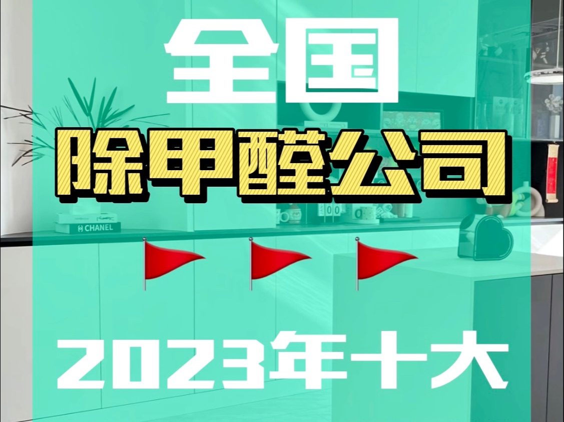除甲醛十大公司排名最新除甲醛十大公司