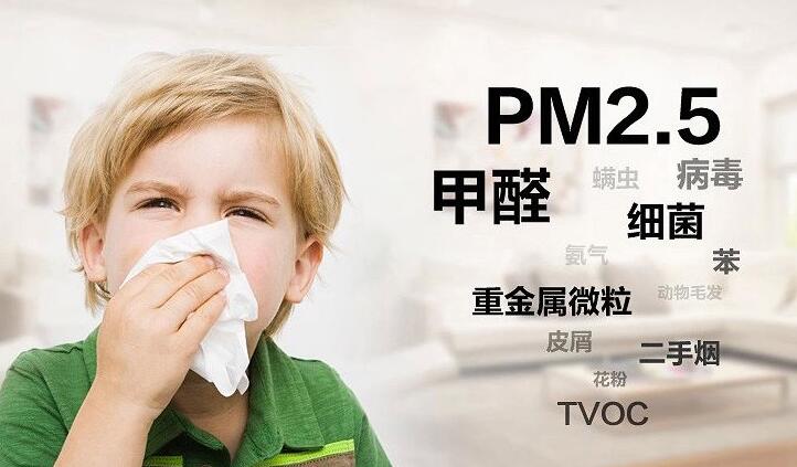 除甲醛最好的品牌是哪个除甲醛比较好的品牌