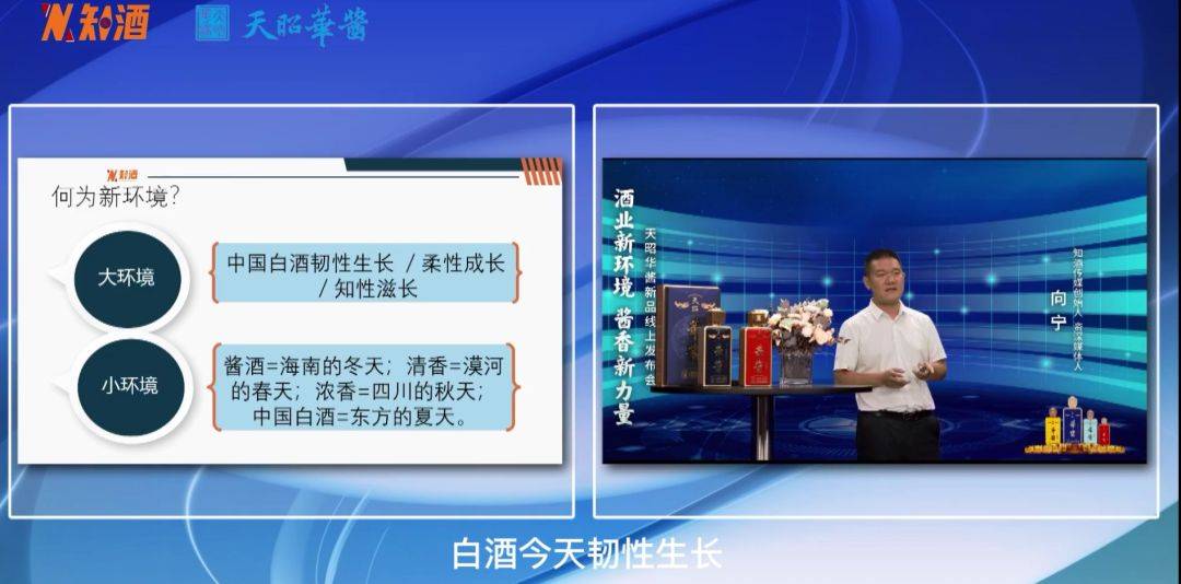 金银花露小说字字珠玑车文的简单介绍