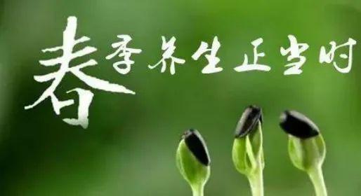 春季养生之道春季养生之道经典句子