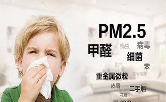 甲醛怕什么?甲醛最怕什么东西